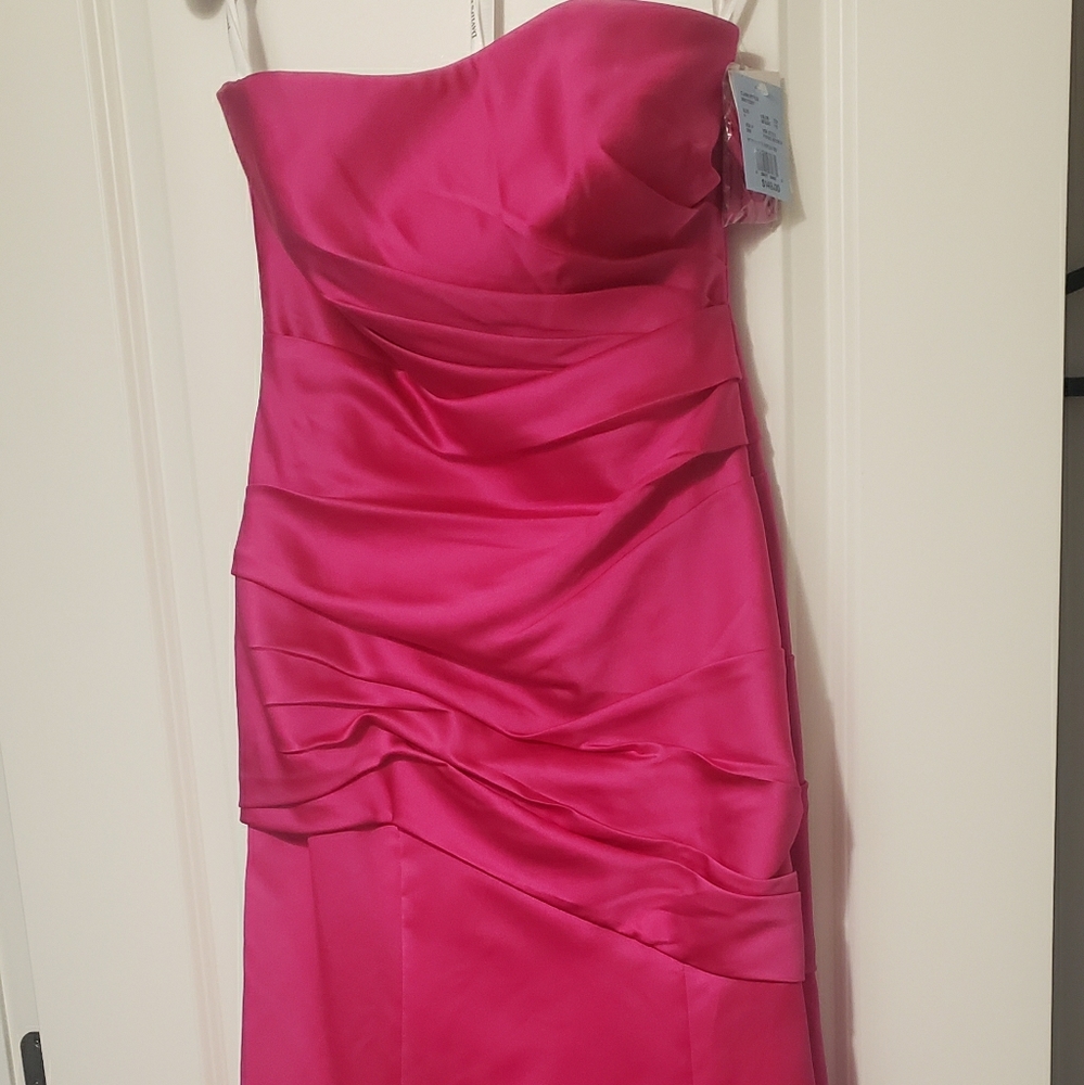 Prom/Bridesmaid dress Fusia, David's Bridal